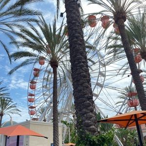 Meet your Posher, Hanney